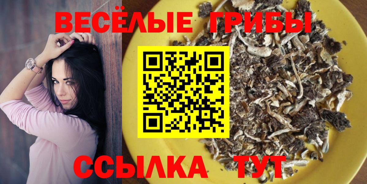 Псилоцибиновые грибы Magic Shrooms Сочи