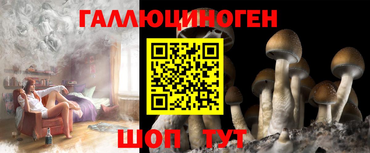 Сочи  Псилоцибиновые грибы Psilocybe  Вход с VPN  Псилоцибиновые грибы Psilocybine cubensis 
